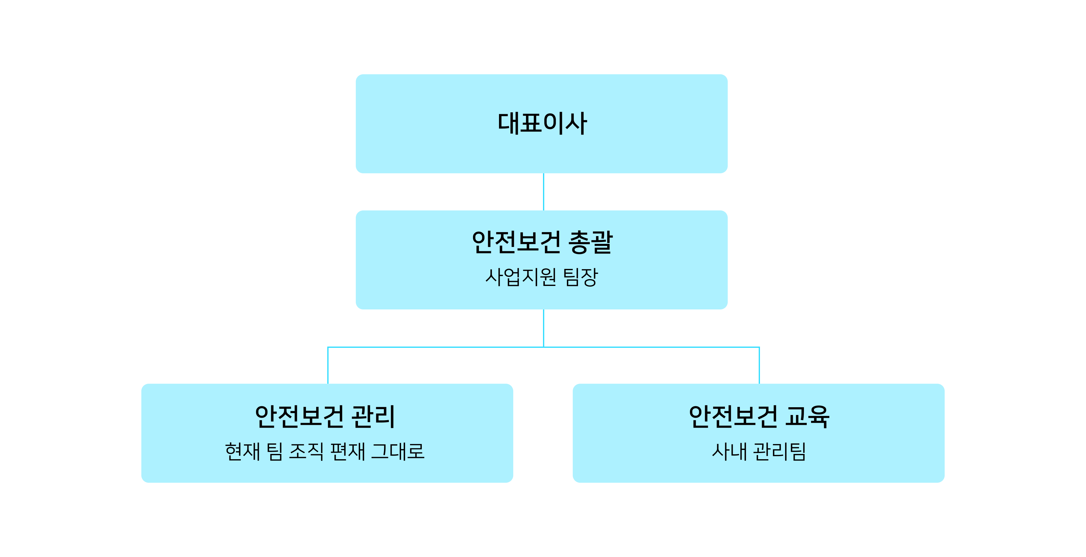 안전보건경영 조직체계